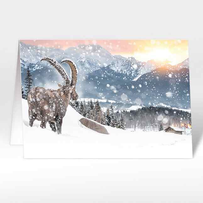Weihnachtskarte "Steinbock mit Sicht auf Alpen"