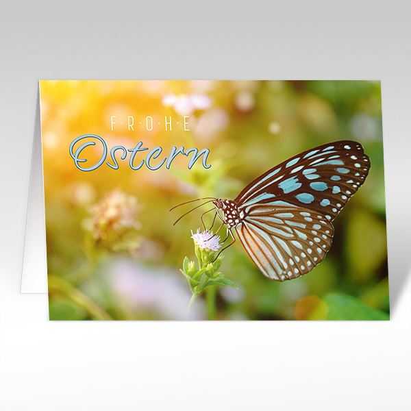 Osterkarten: Schmetterling mit Text