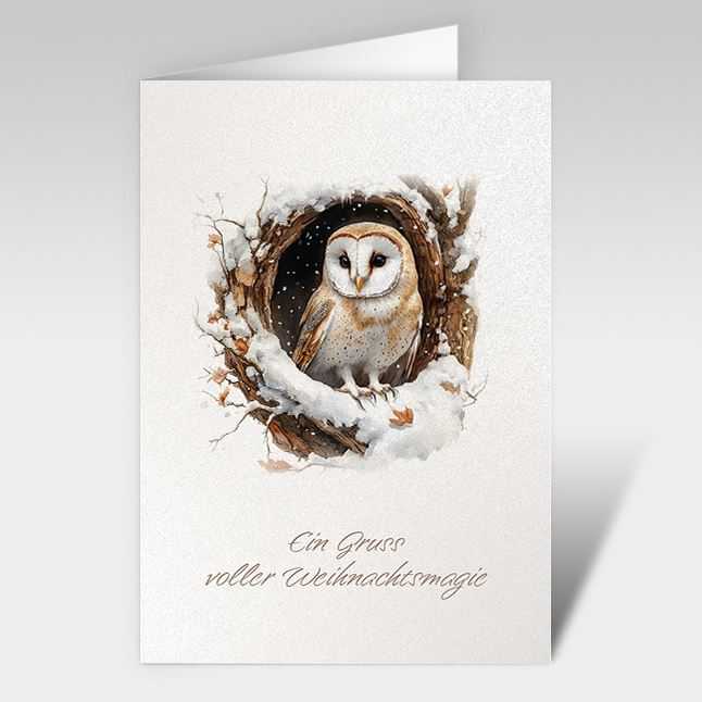 Weihnachtskarte "Schleiereule im Winterwald"